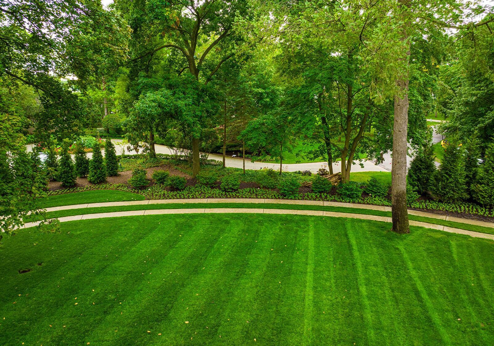 Grosse Ile, MI Certified Arborist